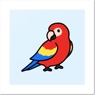 Parrot Posters and Art